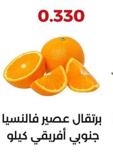  Orange  in  Adailiya Cooperative Society in Kuwait - Jahra Governorate