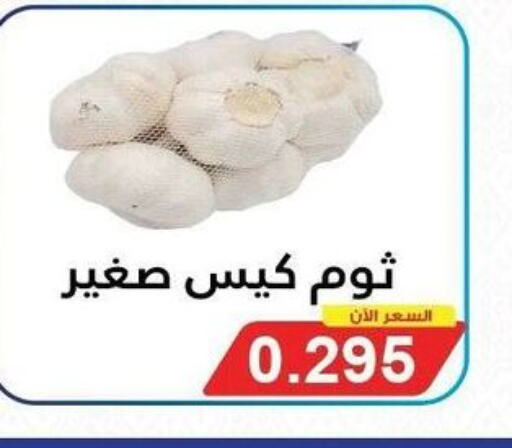  Garlic  in جمعية سلوى التعاونية in الكويت - مدينة الكويت