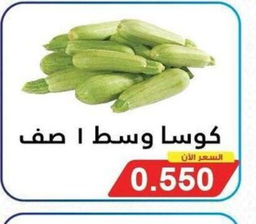  Zucchini  in جمعية سلوى التعاونية in الكويت - مدينة الكويت