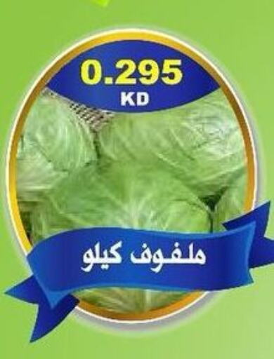  Cabbage  in Jaber Al Ali Cooperative Society in Kuwait - Ahmadi Governorate