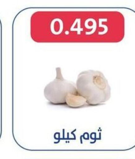 Garlic