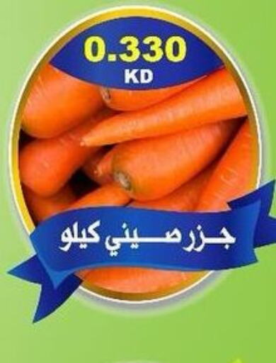  Carrot  in Jaber Al Ali Cooperative Society in Kuwait - Ahmadi Governorate