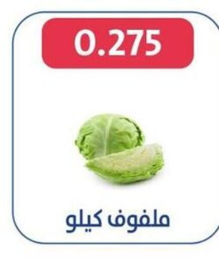  Cabbage  in Al Jahra Cooperative Society in Kuwait - Jahra Governorate