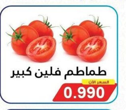  Tomato  in جمعية سلوى التعاونية in الكويت - مدينة الكويت