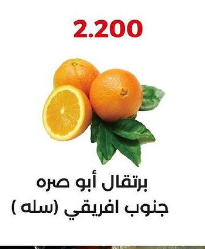  Orange  in  Adailiya Cooperative Society in Kuwait - Jahra Governorate