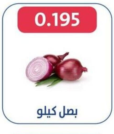  Onion  in Al Jahra Cooperative Society in Kuwait - Jahra Governorate