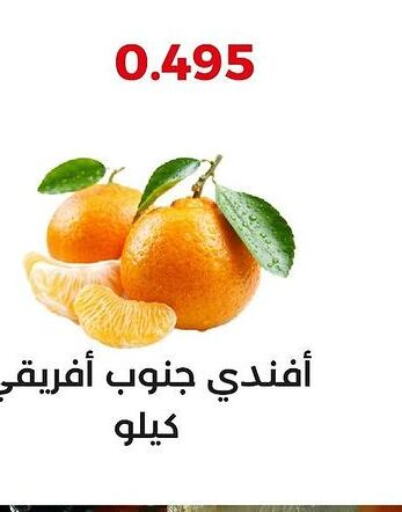  Orange  in  Adailiya Cooperative Society in Kuwait - Jahra Governorate