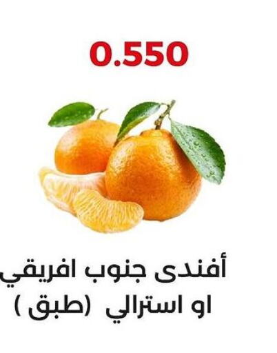  Orange  in  Adailiya Cooperative Society in Kuwait - Jahra Governorate