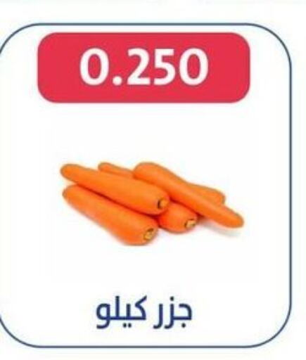  Carrot  in Al Jahra Cooperative Society in Kuwait - Jahra Governorate