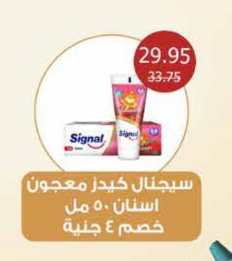 SIGNAL Toothpaste  in Flamingo Hyper Market in Egypt - Cairo