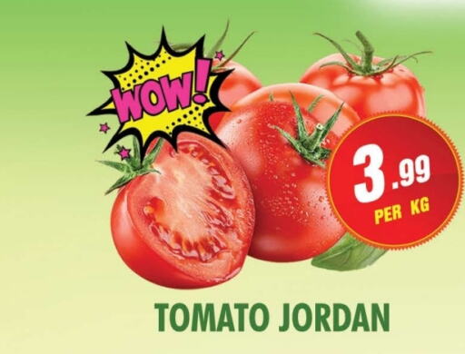  Tomato  in NIGHT TO NIGHT DEPARTMENT STORE in UAE - Sharjah / Ajman