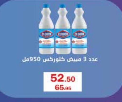 CLOROX General Cleaner  in Flamingo Hyper Market in Egypt - Cairo