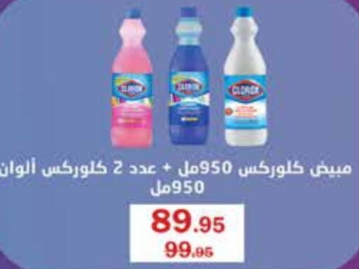 CLOROX General Cleaner  in Flamingo Hyper Market in Egypt - Cairo