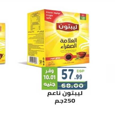 Lipton   in Dream Market in Egypt - Cairo