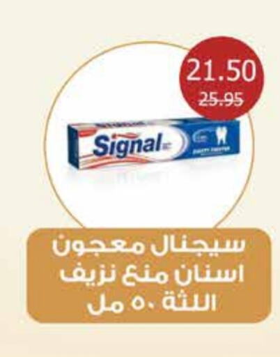 SIGNAL Toothpaste  in Flamingo Hyper Market in Egypt - Cairo