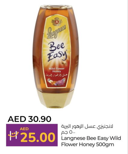  Honey  in Lulu Hypermarket in UAE - Abu Dhabi