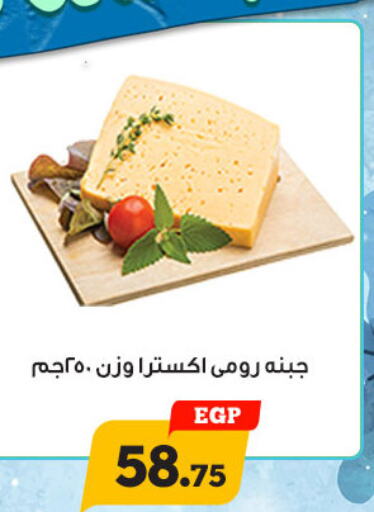  Roumy Cheese  in Awlad Ragab in Egypt - Cairo