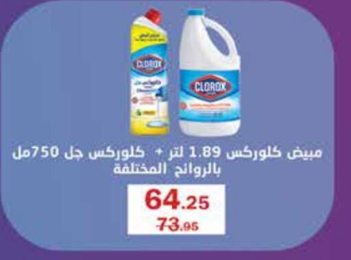 CLOROX General Cleaner  in Flamingo Hyper Market in Egypt - Cairo