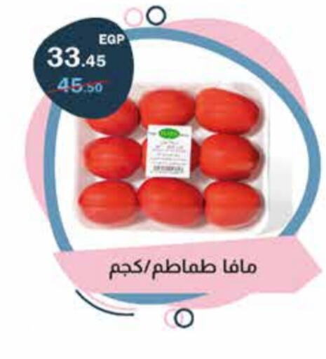  Tomato  in Flamingo Hyper Market in Egypt - Cairo