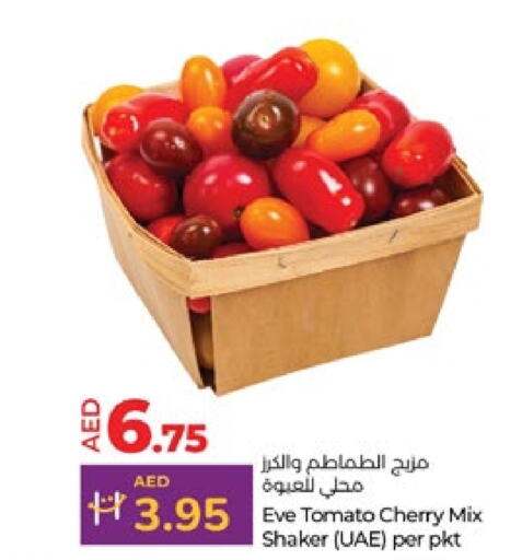  Tomato  in Lulu Hypermarket in UAE - Abu Dhabi