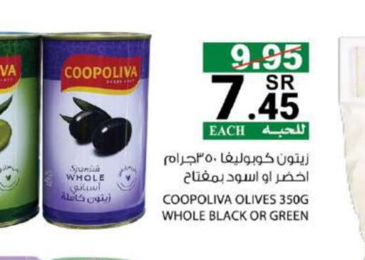 COOPOLIVA   in House Care in KSA, Saudi Arabia, Saudi - Mecca