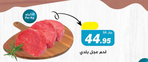  Veal  in Hypermarket Stor in KSA, Saudi Arabia, Saudi - Tabuk