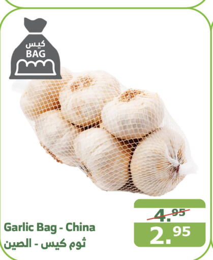  Garlic  in Al Raya in KSA, Saudi Arabia, Saudi - Yanbu