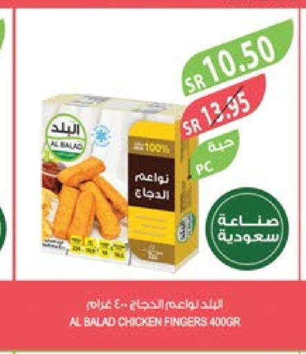  Chicken Fingers  in Farm  in KSA, Saudi Arabia, Saudi - Arar