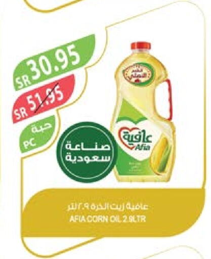 AFIA Corn Oil  in Farm  in KSA, Saudi Arabia, Saudi - Qatif