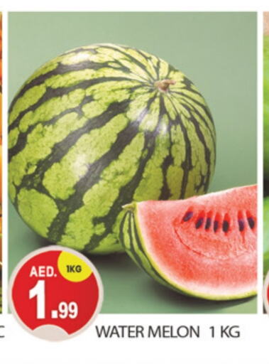  Watermelon  in TALAL MARKET in UAE - Dubai