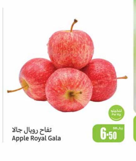  Apples  in Othaim Markets in KSA, Saudi Arabia, Saudi - Jubail