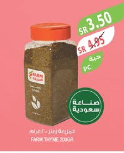  Spices  in Farm  in KSA, Saudi Arabia, Saudi - Jubail