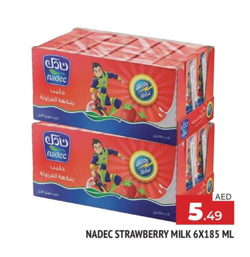 NADEC Flavoured Milk  in AL MADINA in UAE - Sharjah / Ajman