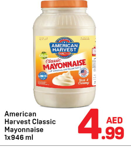 AMERICAN CLASSIC Mayonnaise  in Day to Day Department Store in UAE - Dubai