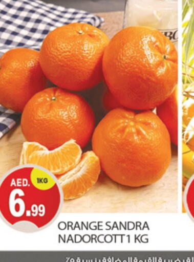  Orange  in TALAL MARKET in UAE - Dubai