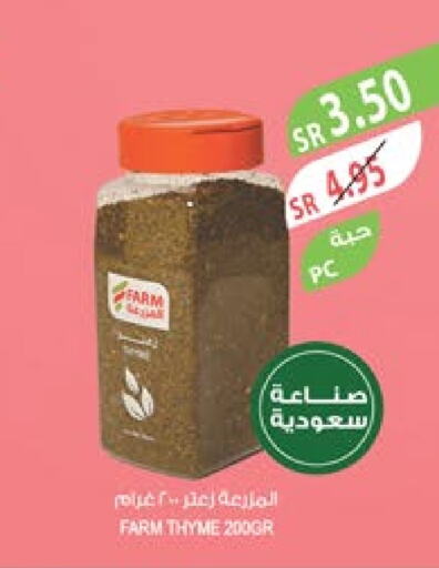  Spices  in Farm  in KSA, Saudi Arabia, Saudi - Al Bahah