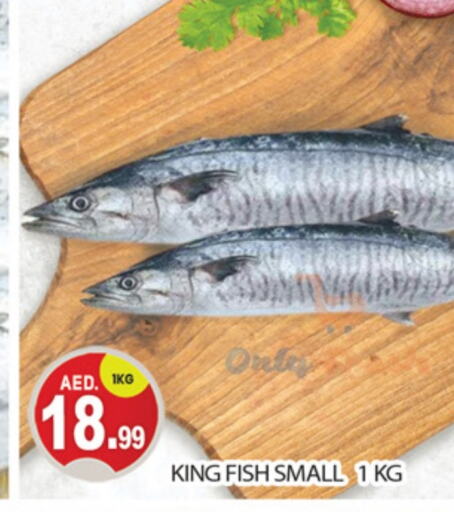  King Fish  in TALAL MARKET in UAE - Dubai