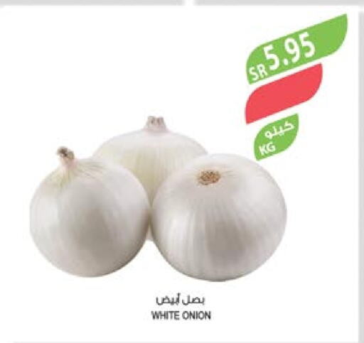  White Onion  in Farm  in KSA, Saudi Arabia, Saudi - Riyadh