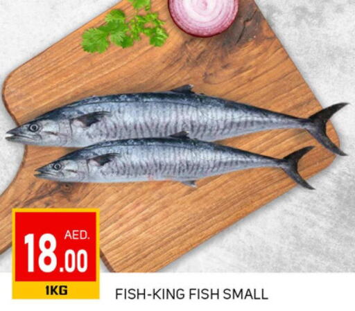  King Fish  in TALAL MARKET in UAE - Dubai