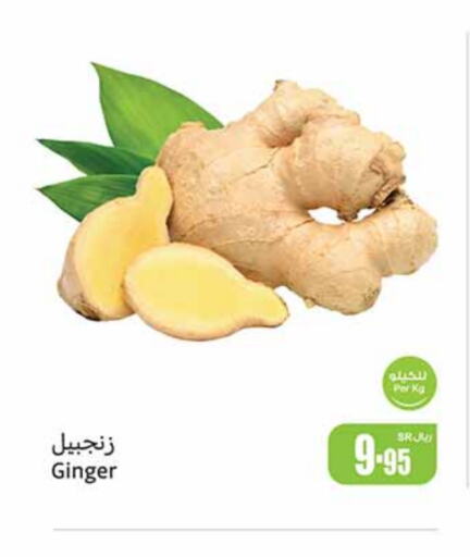  Ginger  in Othaim Markets in KSA, Saudi Arabia, Saudi - Buraidah