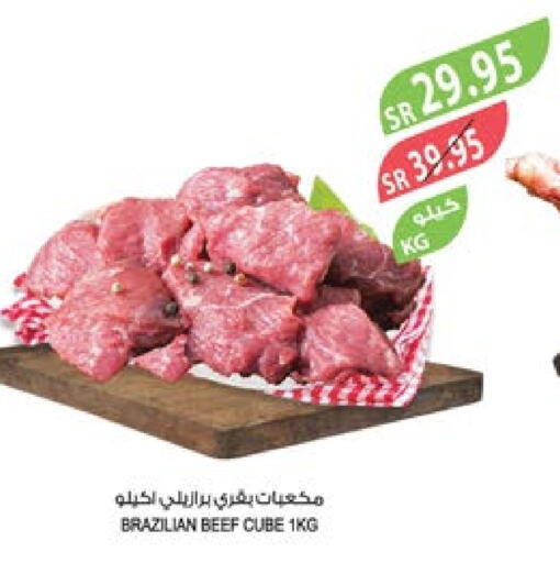  Beef  in Farm  in KSA, Saudi Arabia, Saudi - Riyadh