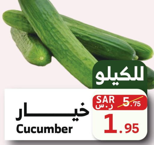  خيار  in ميرا مارت مول in مملكة العربية السعودية, السعودية, سعودية - جدة