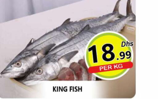  King Fish  in AL MADINA (Dubai) in UAE - Dubai