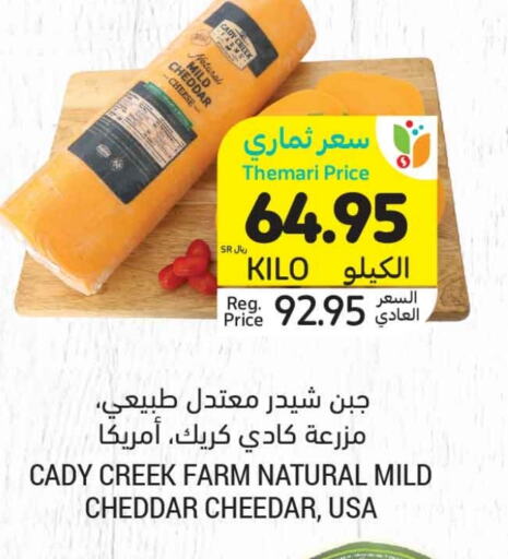  Cheddar Cheese  in Tamimi Market in KSA, Saudi Arabia, Saudi - Hafar Al Batin