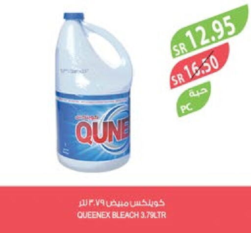 QUEENEX Bleach  in Farm  in KSA, Saudi Arabia, Saudi - Abha