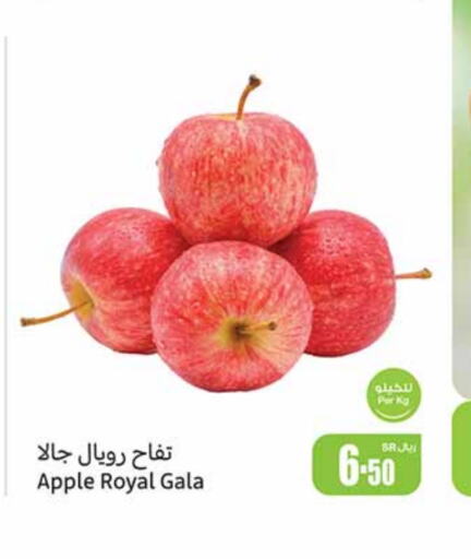  Apples  in Othaim Markets in KSA, Saudi Arabia, Saudi - Ar Rass