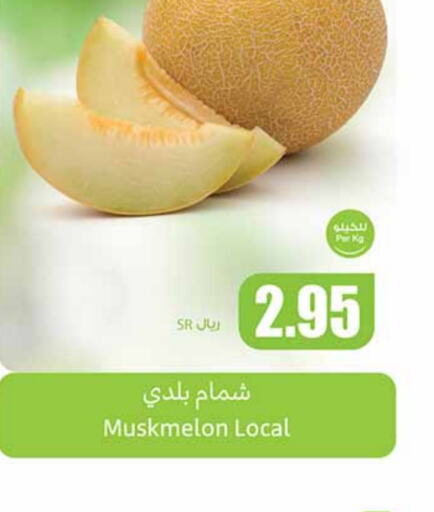  Sweet melon  in Othaim Markets in KSA, Saudi Arabia, Saudi - Bishah