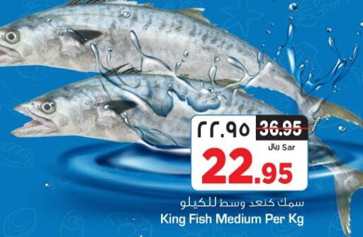  King Fish  in Nesto in KSA, Saudi Arabia, Saudi - Riyadh