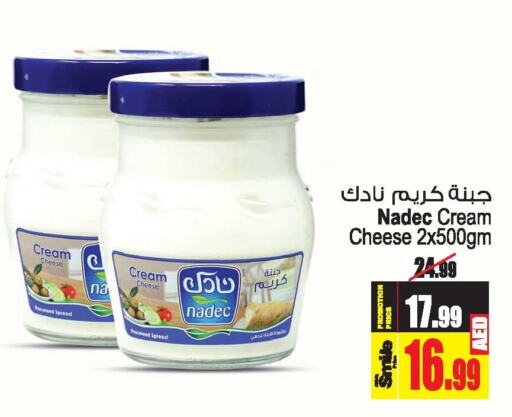 NADEC Cream Cheese  in Ansar Mall in UAE - Sharjah / Ajman