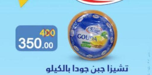  Gouda  in Wekalet Elmansoura - Dakahlia  in Egypt - Cairo